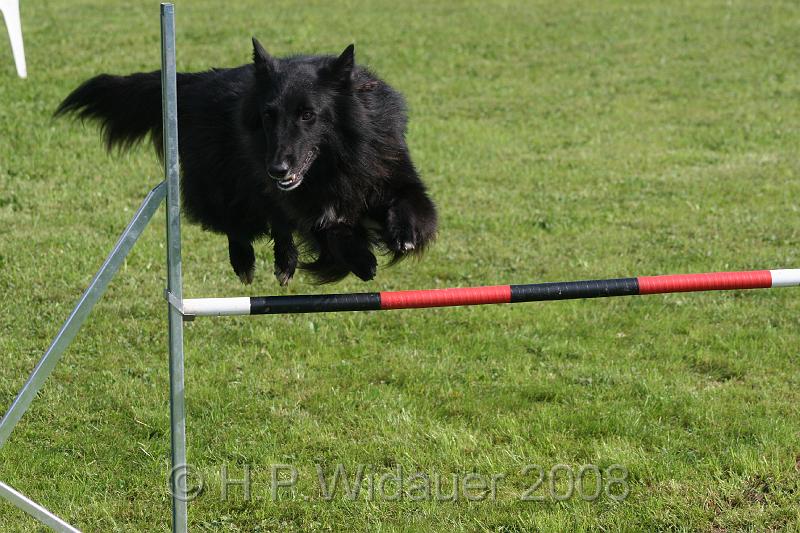 jubil.lusten. 089.jpg